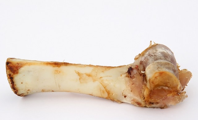 pork shoulder bone
