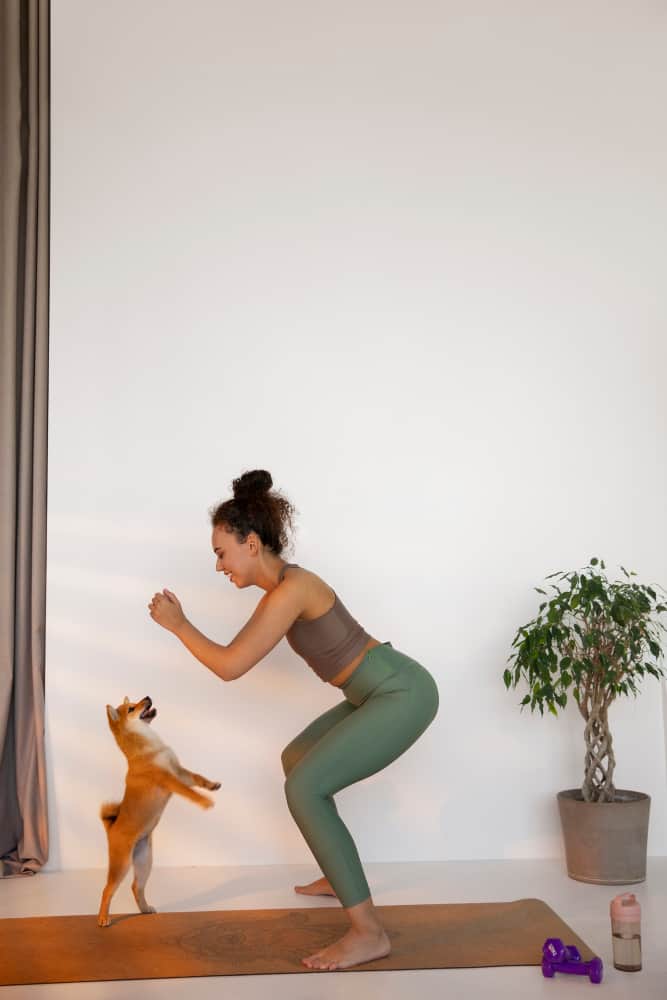 Exercise Your Dog