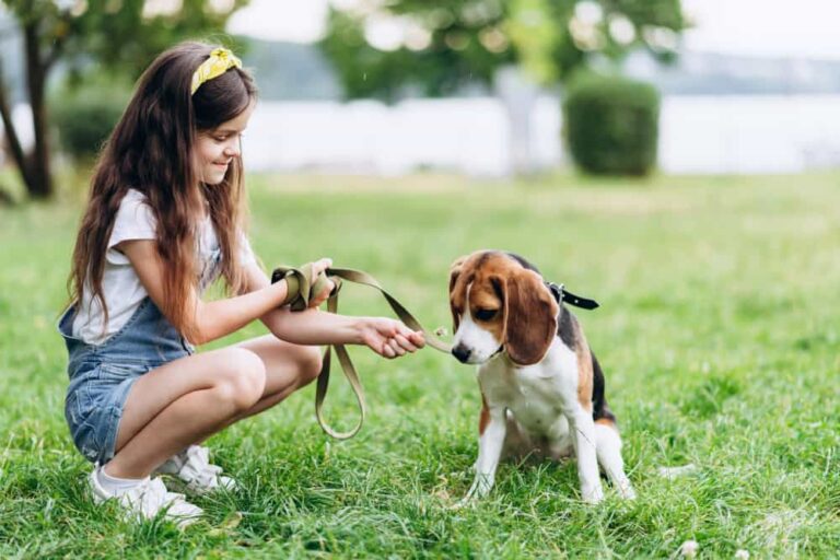 The Complete Guide to Puppy Socialization: Checklist and Socialize Tips