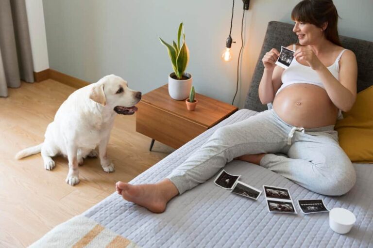 Unlocking the Benefits of Having a Dog While Pregnant